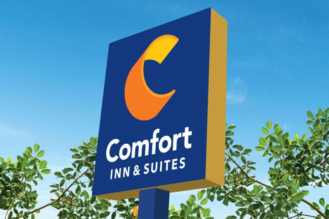 Comfort Inn & Suites Munising-Lakefront מראה חיצוני תמונה